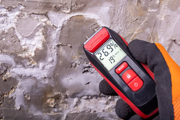 Best Post-Flood Mold Remediation in Mount Ayr, IA