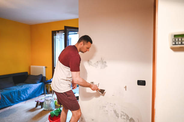 Best Emergency Mold Remediation in Mount Ayr, IA